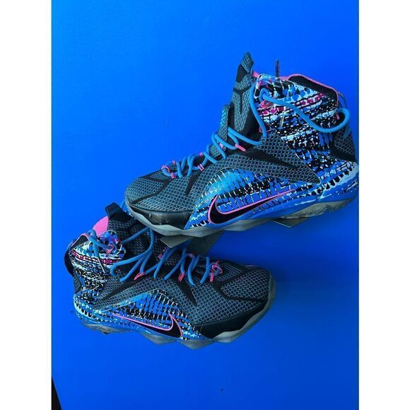 2015 Nike LEBRON 12 EP '23 CHROMOSOMES' High Top Sneakers 707781-006 Size 8.5 - Picture 1 of 7